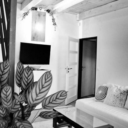 Apartmany Ztracena Roudnice nad Labem Dış mekan fotoğraf