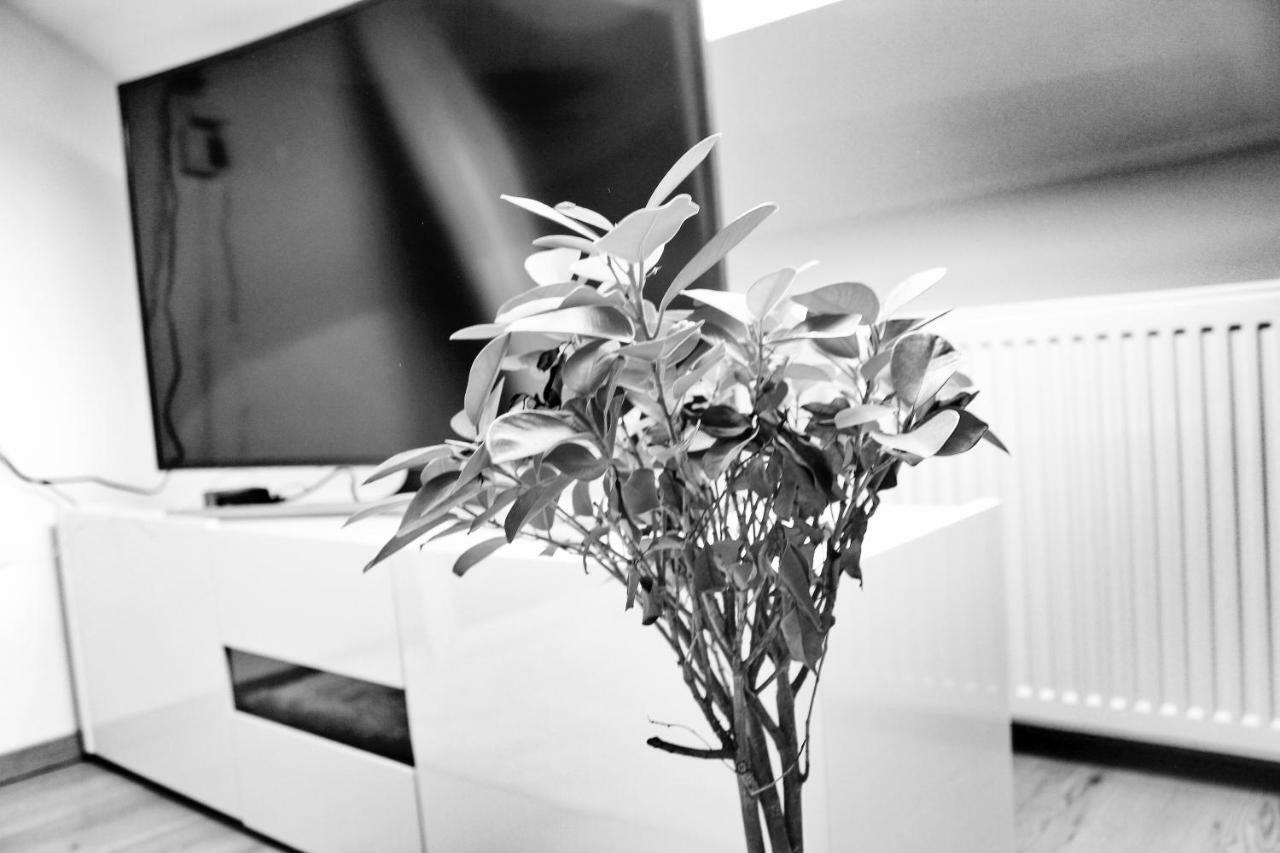 Apartmany Ztracena Roudnice nad Labem Dış mekan fotoğraf